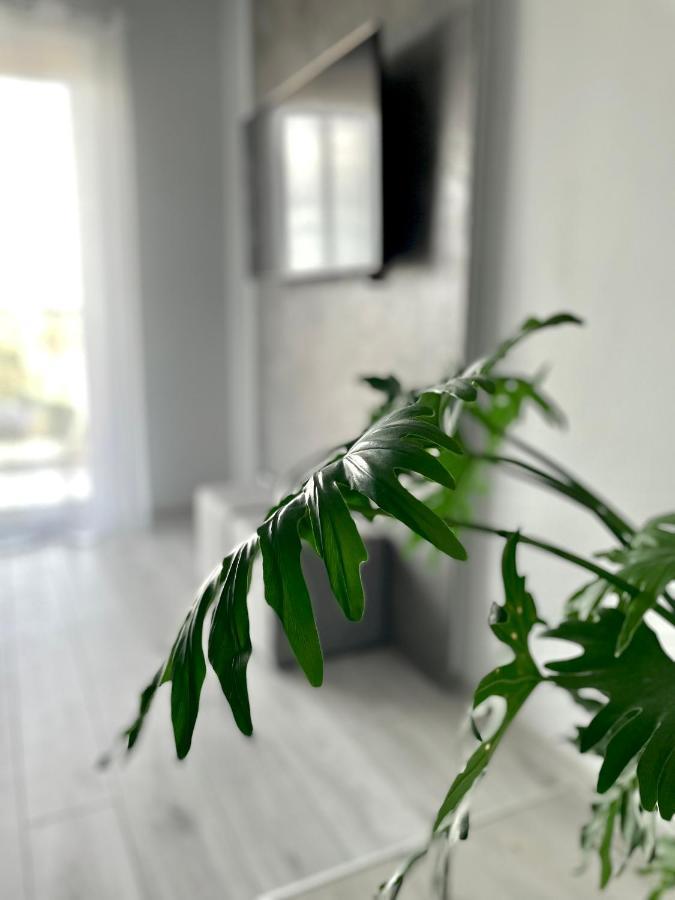 Ach, To Tu- Apartament Łańcut Exterior foto